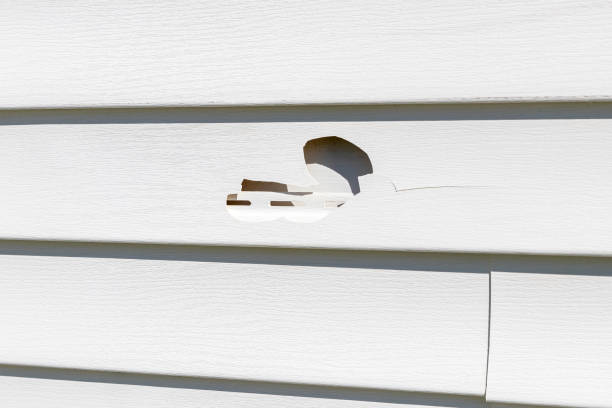 How To Choose The Right Materials for Your Siding Installation in 'Newport East, RI